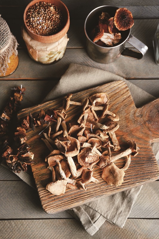 Stir-Fried Pigeon Breast with Wild Mushrooms